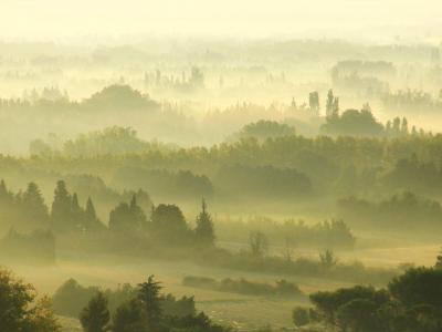 Morning Fog  in Provence