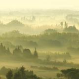 Morning Fog  in Provence
