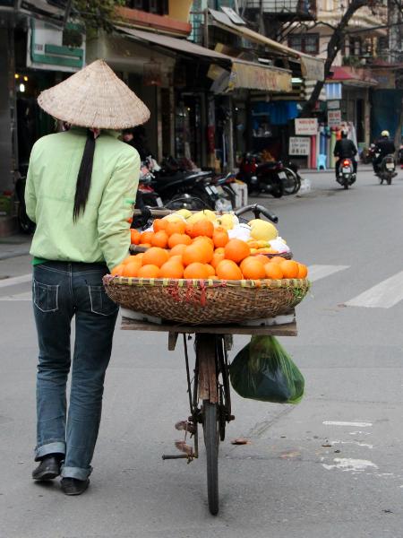  Orange Vendor
