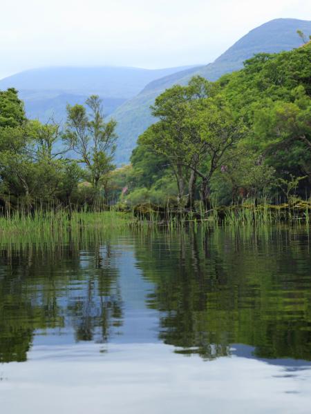 Lake Reflections