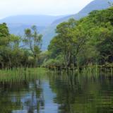 Lake Reflections