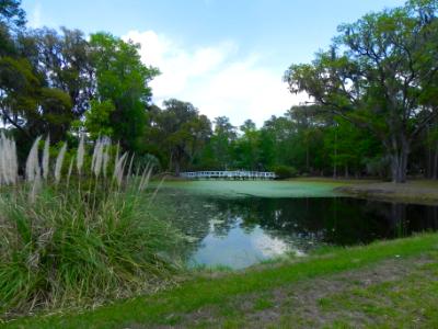 White bridge on Daufuskie