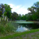 White bridge on Daufuskie