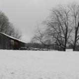 Winter Barn