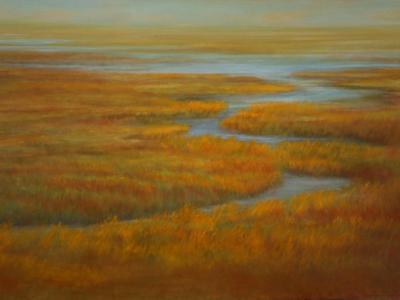 Cape Marsh