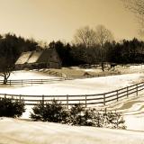 Winter Grazing