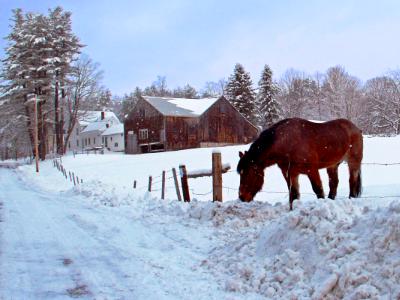 Snow with Thunder New England