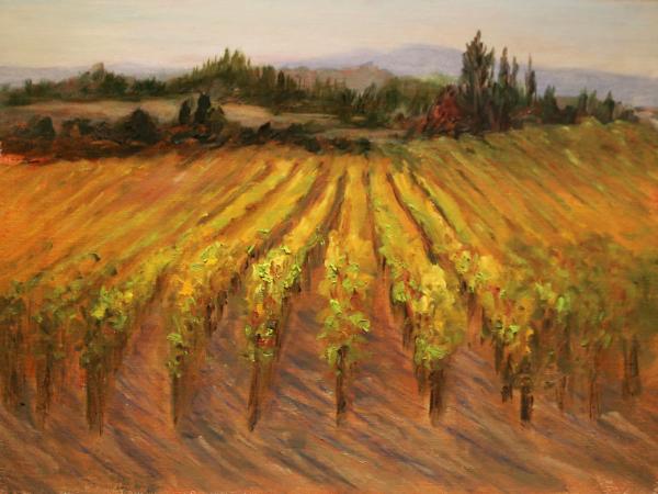 Sonoma Vineyard II